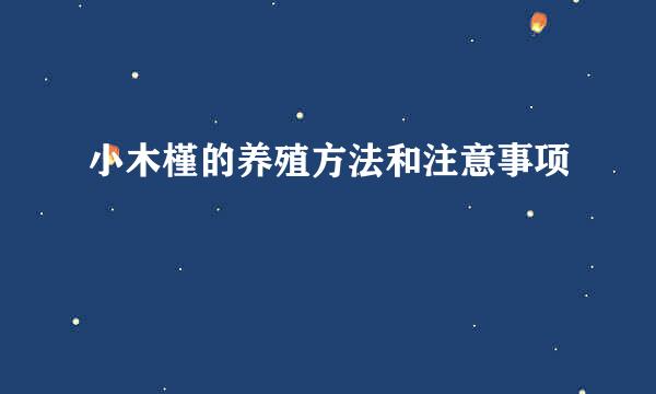 小木槿的养殖方法和注意事项