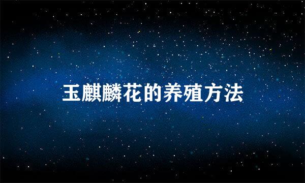玉麒麟花的养殖方法