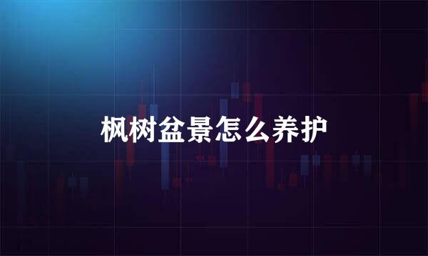 枫树盆景怎么养护