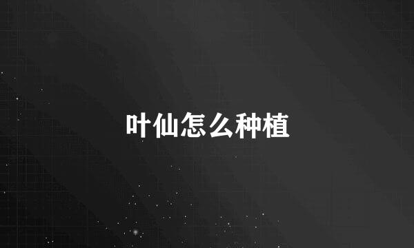 叶仙怎么种植
