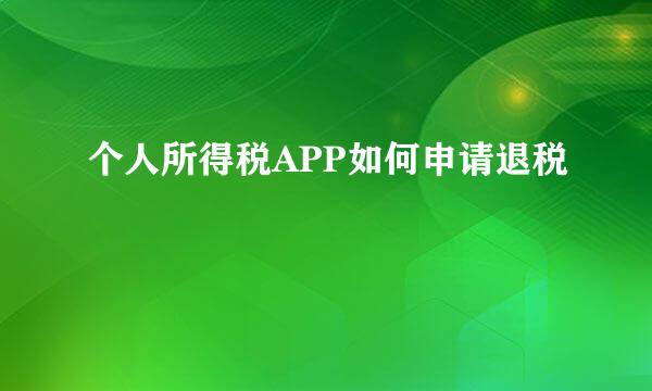 个人所得税APP如何申请退税