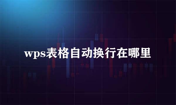 wps表格自动换行在哪里
