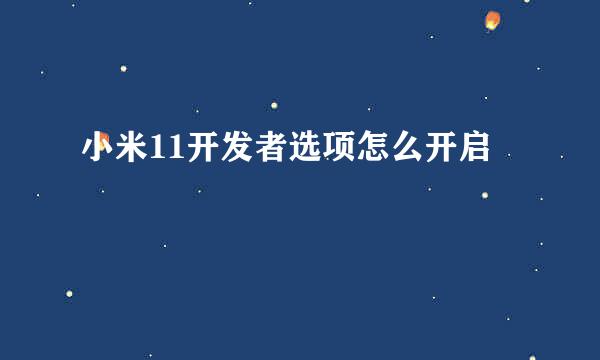 小米11开发者选项怎么开启