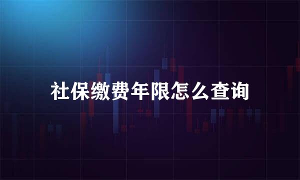 社保缴费年限怎么查询
