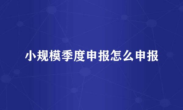 小规模季度申报怎么申报