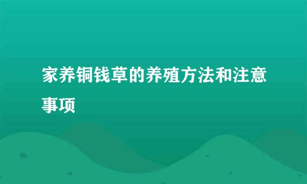 家养铜钱草的养殖方法和注意事项