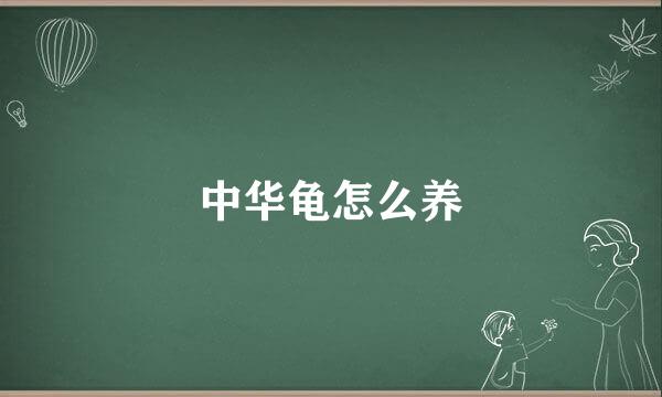 中华龟怎么养