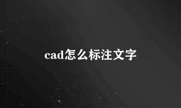 cad怎么标注文字