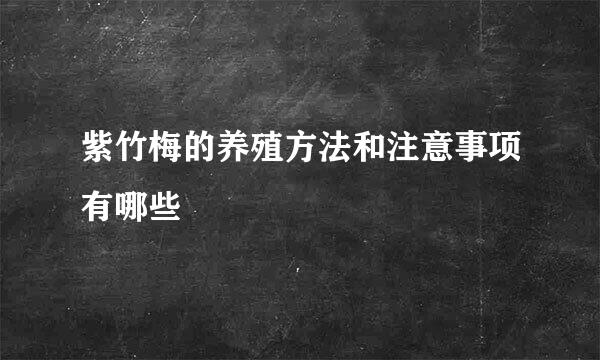 紫竹梅的养殖方法和注意事项有哪些