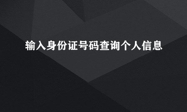 输入身份证号码查询个人信息