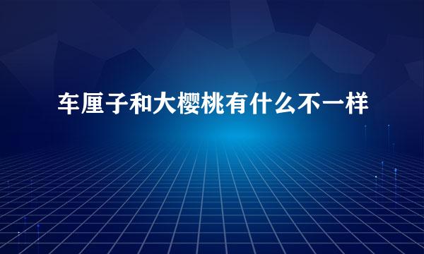 车厘子和大樱桃有什么不一样