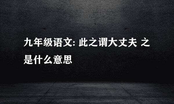 九年级语文: 此之谓大丈夫 之是什么意思