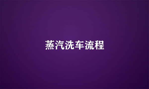 蒸汽洗车流程