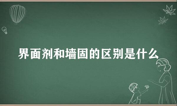 界面剂和墙固的区别是什么