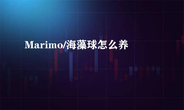 Marimo/海藻球怎么养