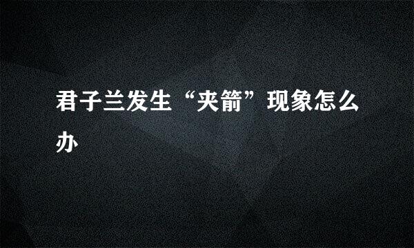 君子兰发生“夹箭”现象怎么办