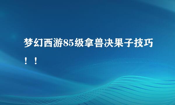 梦幻西游85级拿兽决果子技巧！！