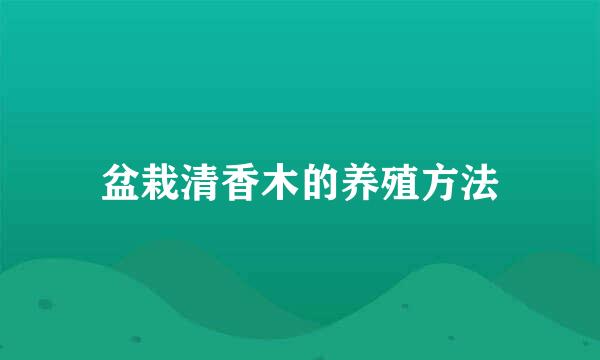 盆栽清香木的养殖方法