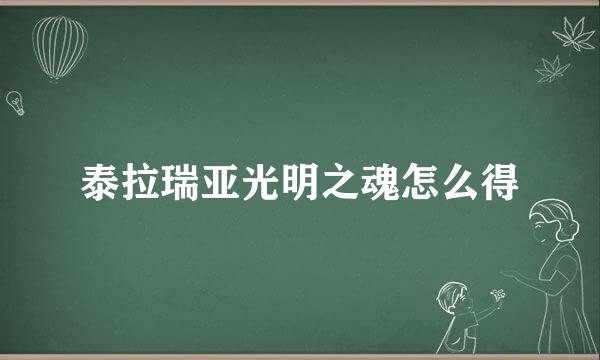 泰拉瑞亚光明之魂怎么得