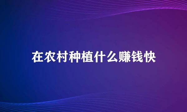 在农村种植什么赚钱快