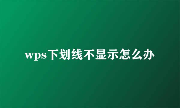 wps下划线不显示怎么办