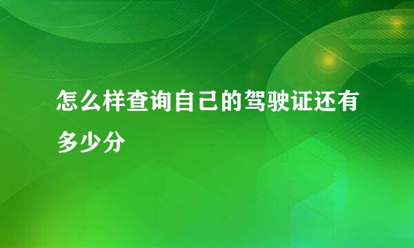怎么样查询自己的驾驶证还有多少分