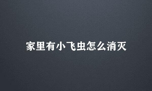 家里有小飞虫怎么消灭