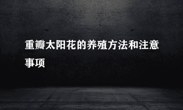 重瓣太阳花的养殖方法和注意事项