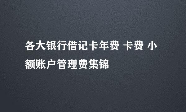 各大银行借记卡年费 卡费 小额账户管理费集锦