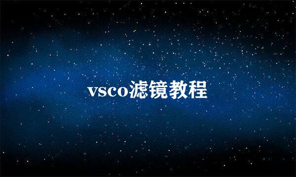 vsco滤镜教程