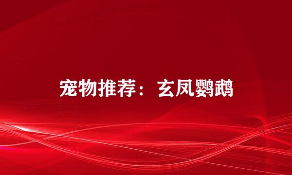 宠物推荐：玄凤鹦鹉