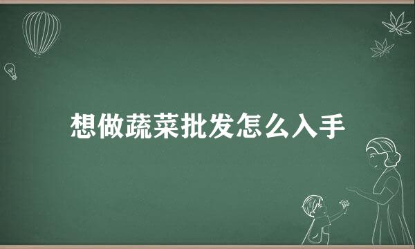 想做蔬菜批发怎么入手