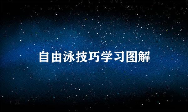 自由泳技巧学习图解