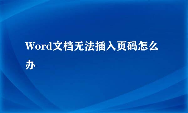 Word文档无法插入页码怎么办