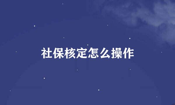 社保核定怎么操作