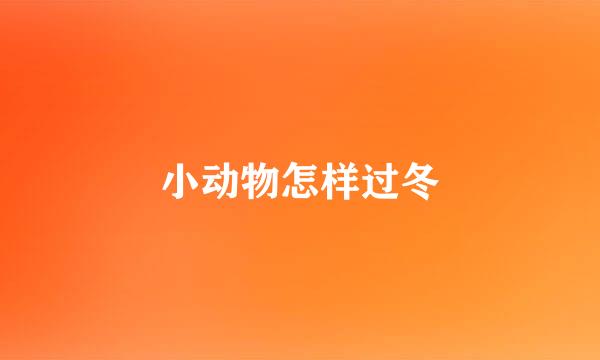 小动物怎样过冬