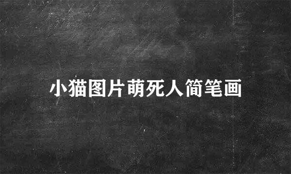 小猫图片萌死人简笔画
