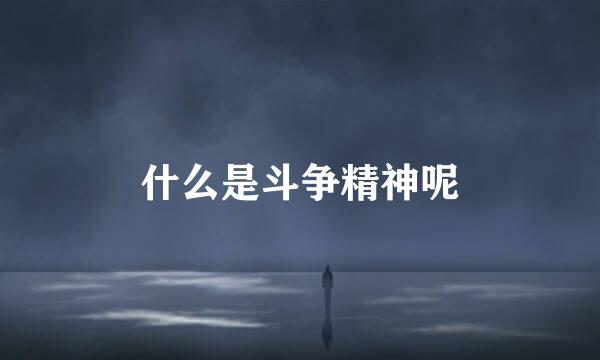 什么是斗争精神呢