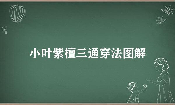 小叶紫檀三通穿法图解