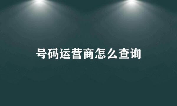 号码运营商怎么查询
