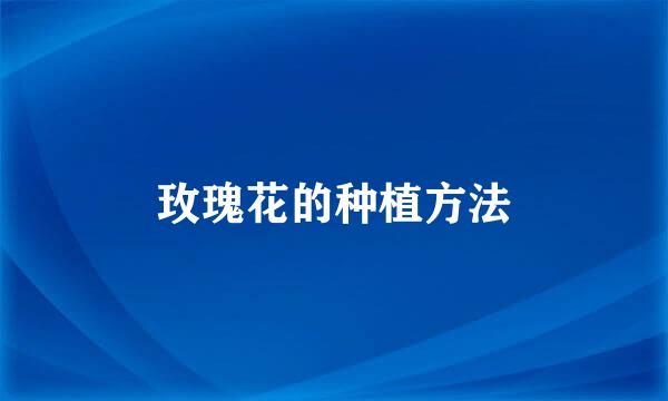 玫瑰花的种植方法