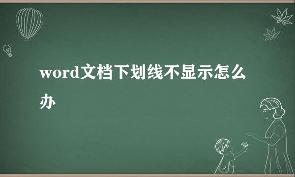 word文档下划线不显示怎么办
