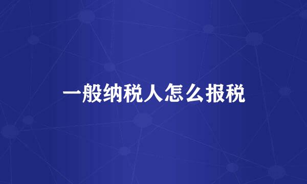 一般纳税人怎么报税
