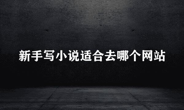 新手写小说适合去哪个网站