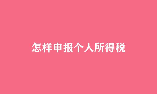 怎样申报个人所得税