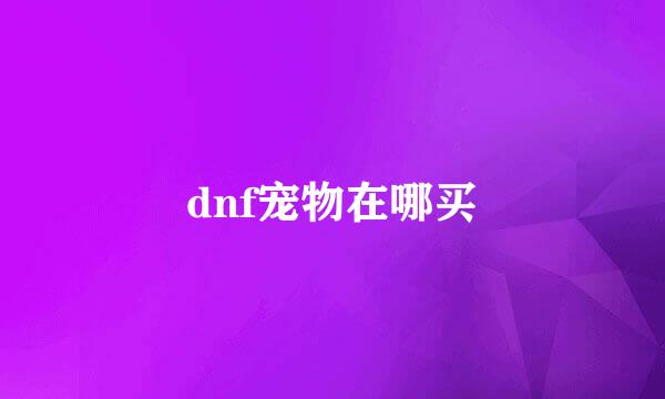 dnf宠物在哪买