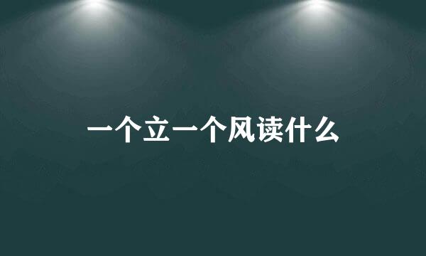 一个立一个风读什么