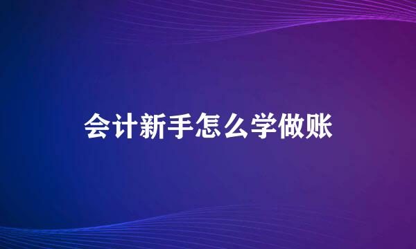 会计新手怎么学做账