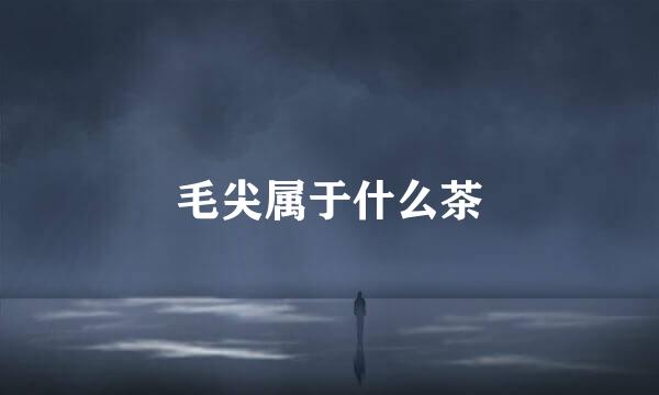 毛尖属于什么茶