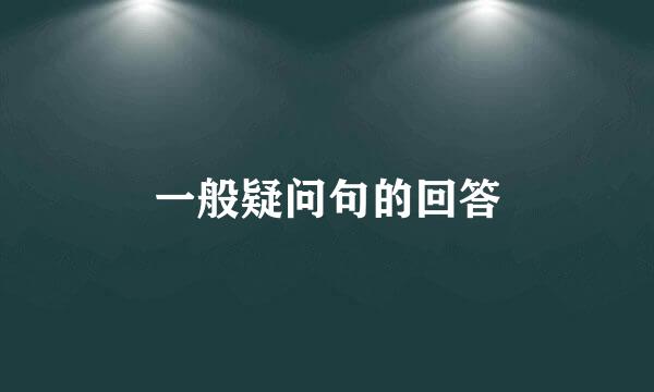 一般疑问句的回答